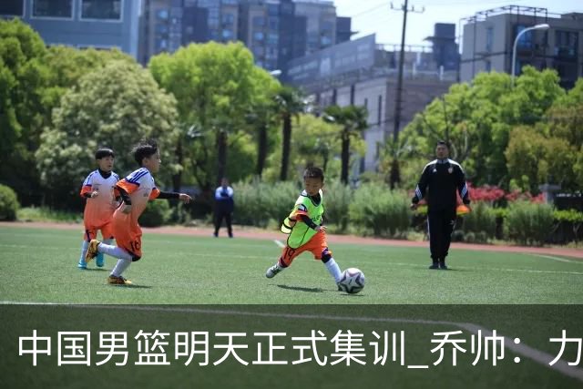 中国男篮明天正式集训 乔帅：力争奥运会门票